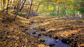 Sopron hol eltűnő, hol felbukkanó vize: a Rák-patak
