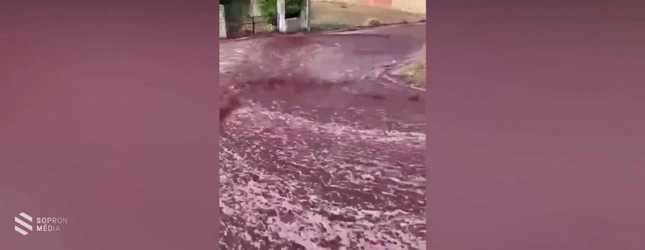 Vörösbor árasztott el egy portugál várost
