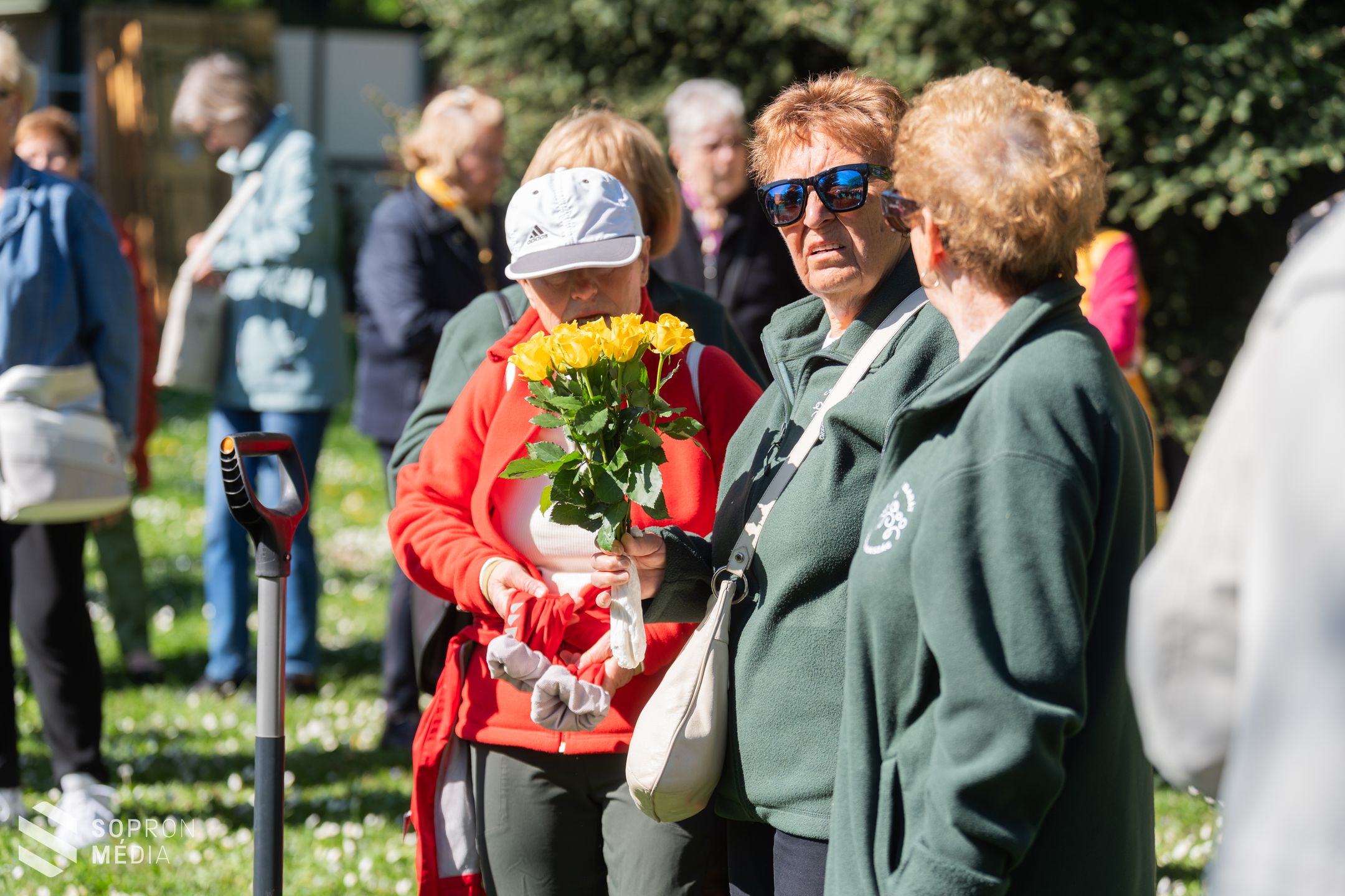 Emlékfát ültettek Monspart Sarolta tájfutó világbajnok tiszteletére