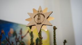 14 karácsonyfát adományoztak a Szent Orsolya Iskola alsó tagozatos diákjai a Tanulmányi Erdőgazdasággal karöltve a Soproni Gyógyközpontnak