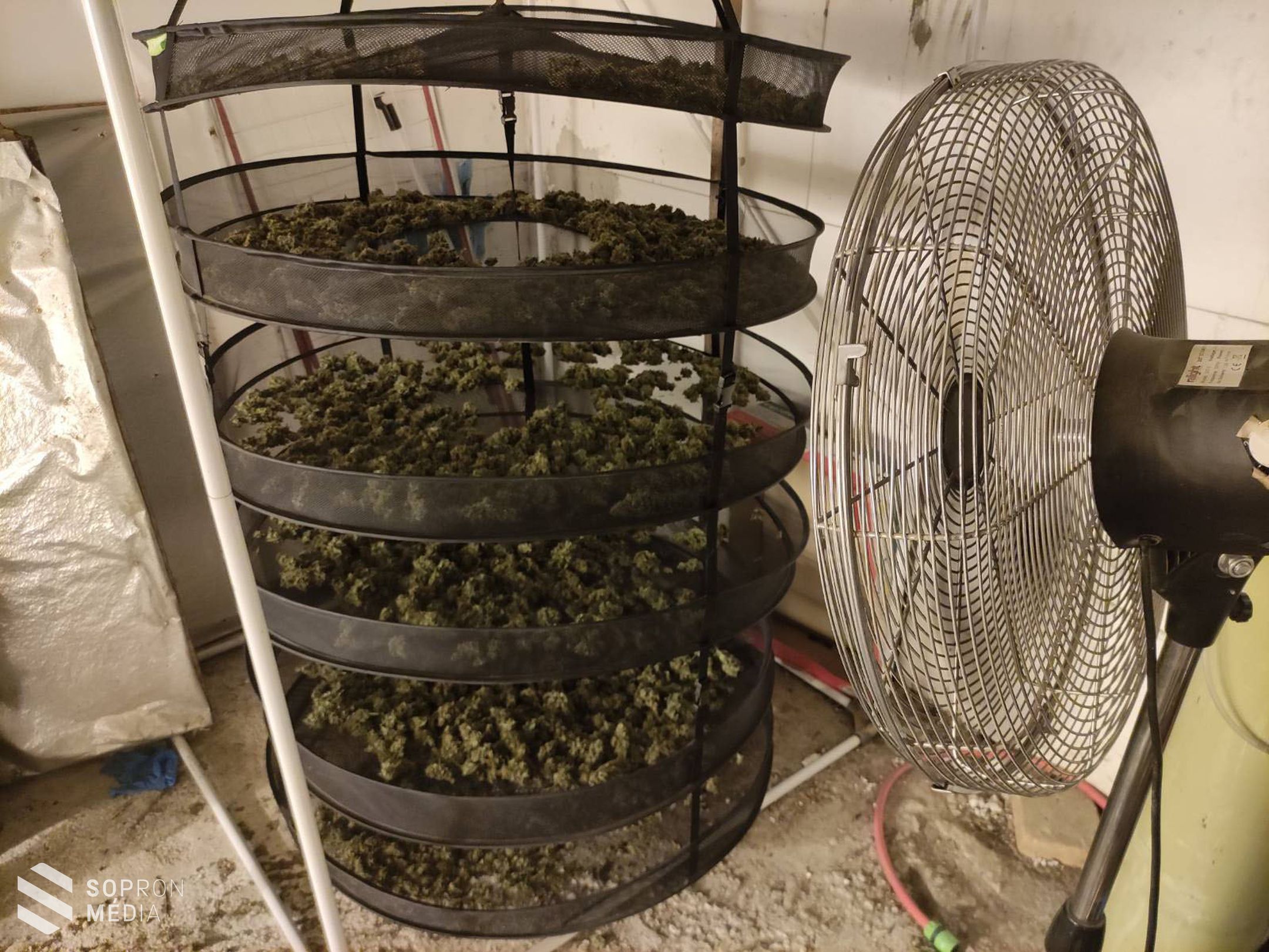 A karácsonyi amfetamin-csomag célba ért 