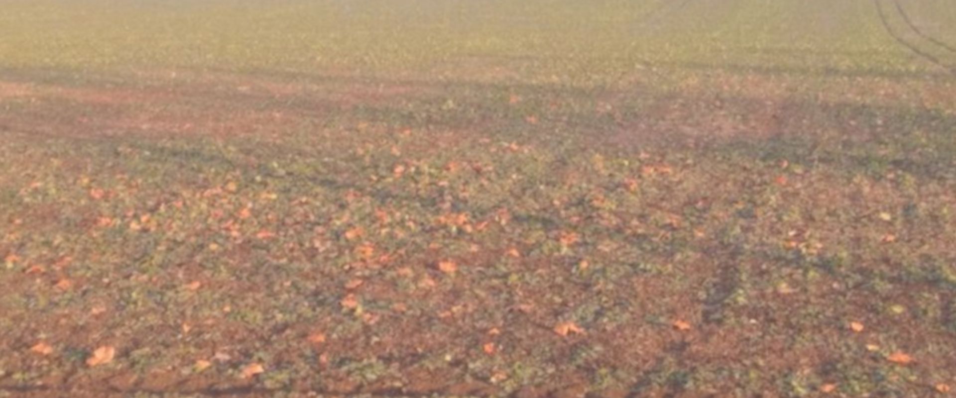 Agrofil-SZMI Kft.