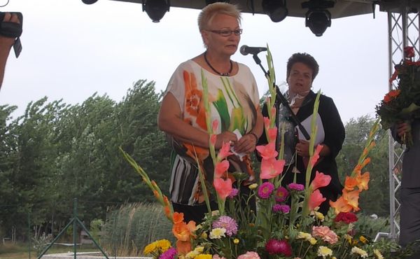 24. Falunap 2013. augusztus 10.
