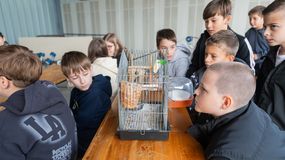 A közelgő állatok világnapja alkalmából tartottak rendhagyó állatvédelmi programot a Soproni Rendőrkapitányságon