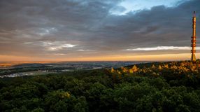 Soproni Egyetem: a magyar erdőgazdálkodás felelős és fenntartható