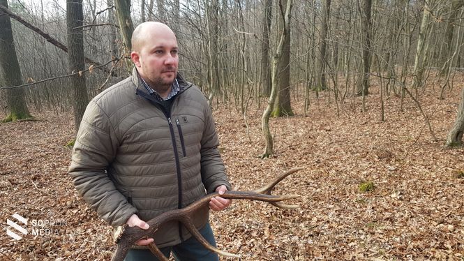 Bánáti László, a Tanulmányi Erdőgazdaság Zrt. közjóléti vezérigazgató-helyettese