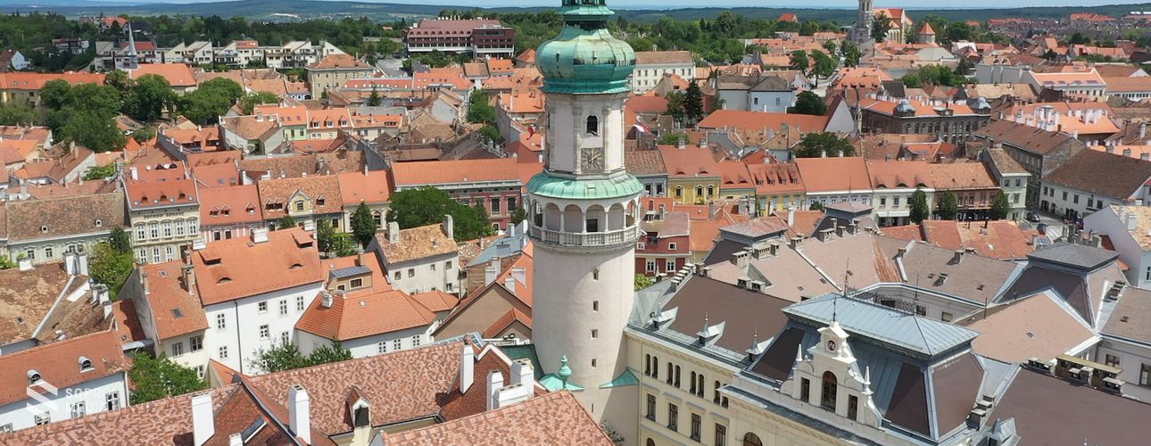 Farkas Ciprián: köszönet minden soproni polgárnak!