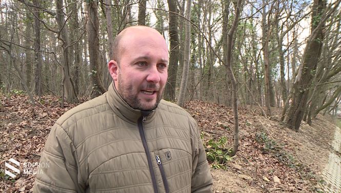 Bánáti László, a TAEG Zrt. közjóléti vezérigazgató-helyettese