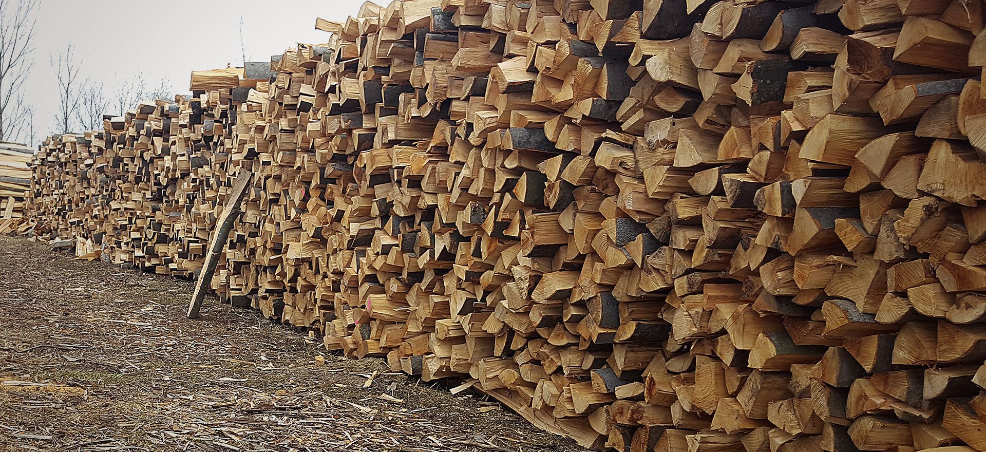 Brennholz mit hoher Qualität