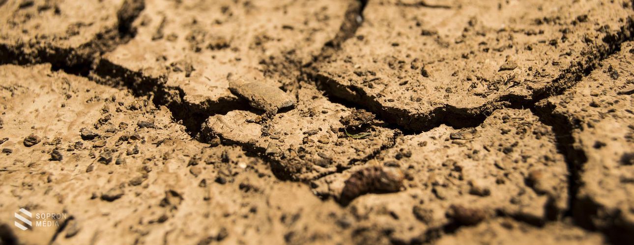 Nagy István: kormánydöntések az aszály miatt