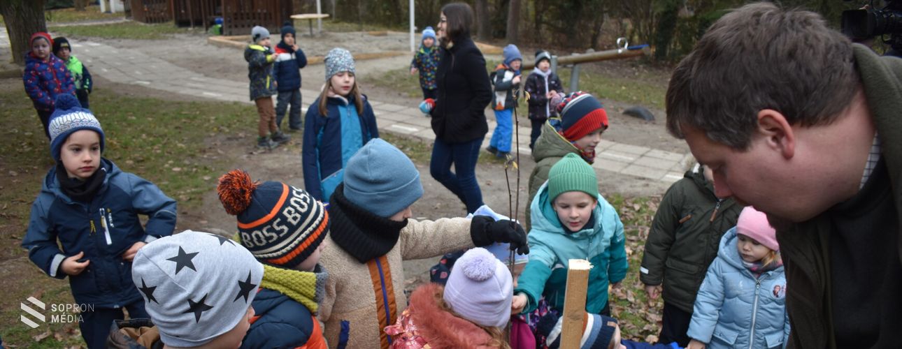Elindult az "Iskolába megy az erdő" program Sopronban!