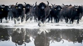 Negyvenmilliárd forint a nemzeti parkok fejlesztésére
