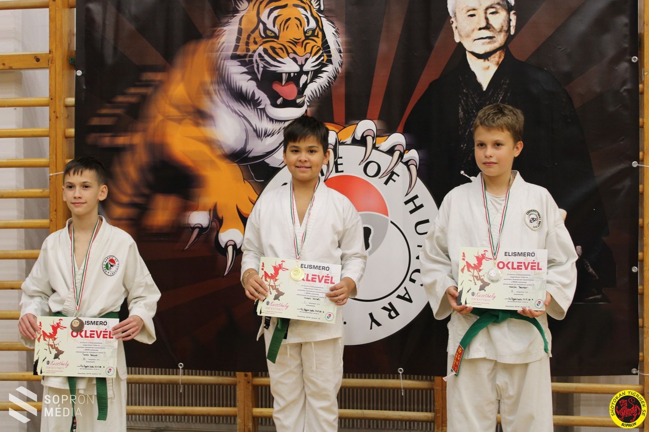 Újabb  sikerek a Shotokan Tigriseknél
