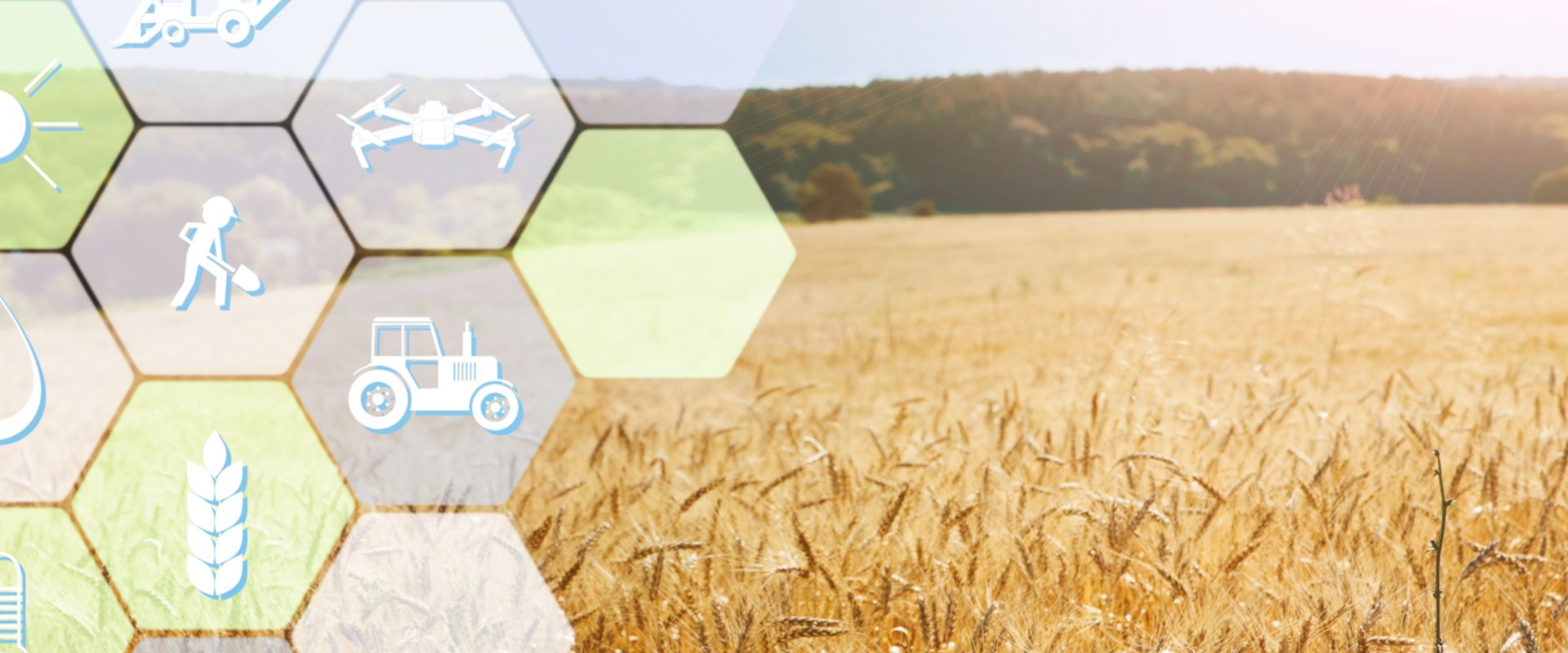 Agrofil-SZMI Kft.