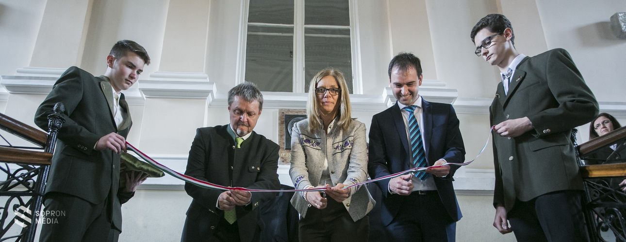 Energetikai korszerűsítés a Rothban – 137 millió forintból valósult meg a beruházás