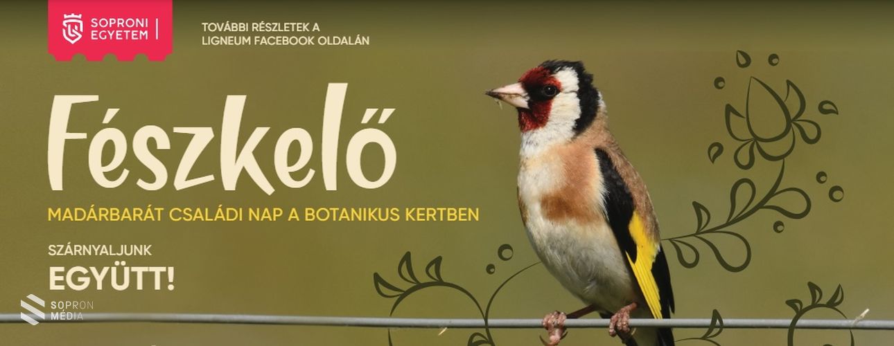 Fészkelő Madárbarát Családi Nap a Soproni Egyetemen