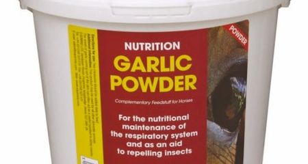 EQUIMINS PURE GARLIC POWDER ZSÁKOS 1KG