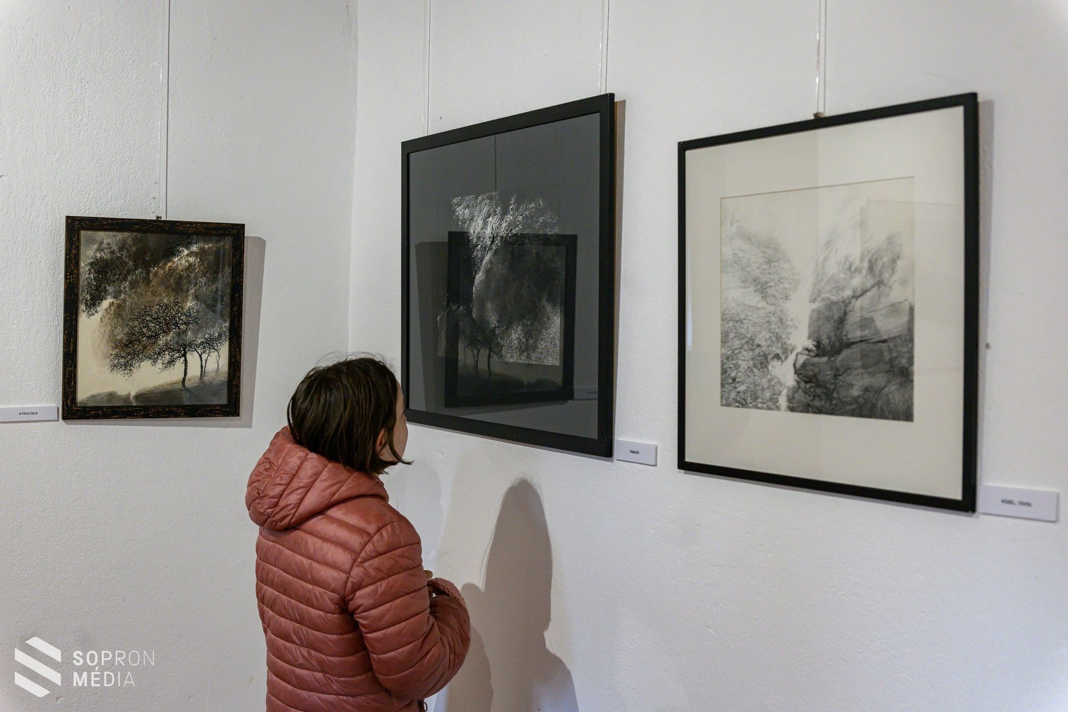 Utak és érintések - különleges kiállítás nyílt a Malmáriumban