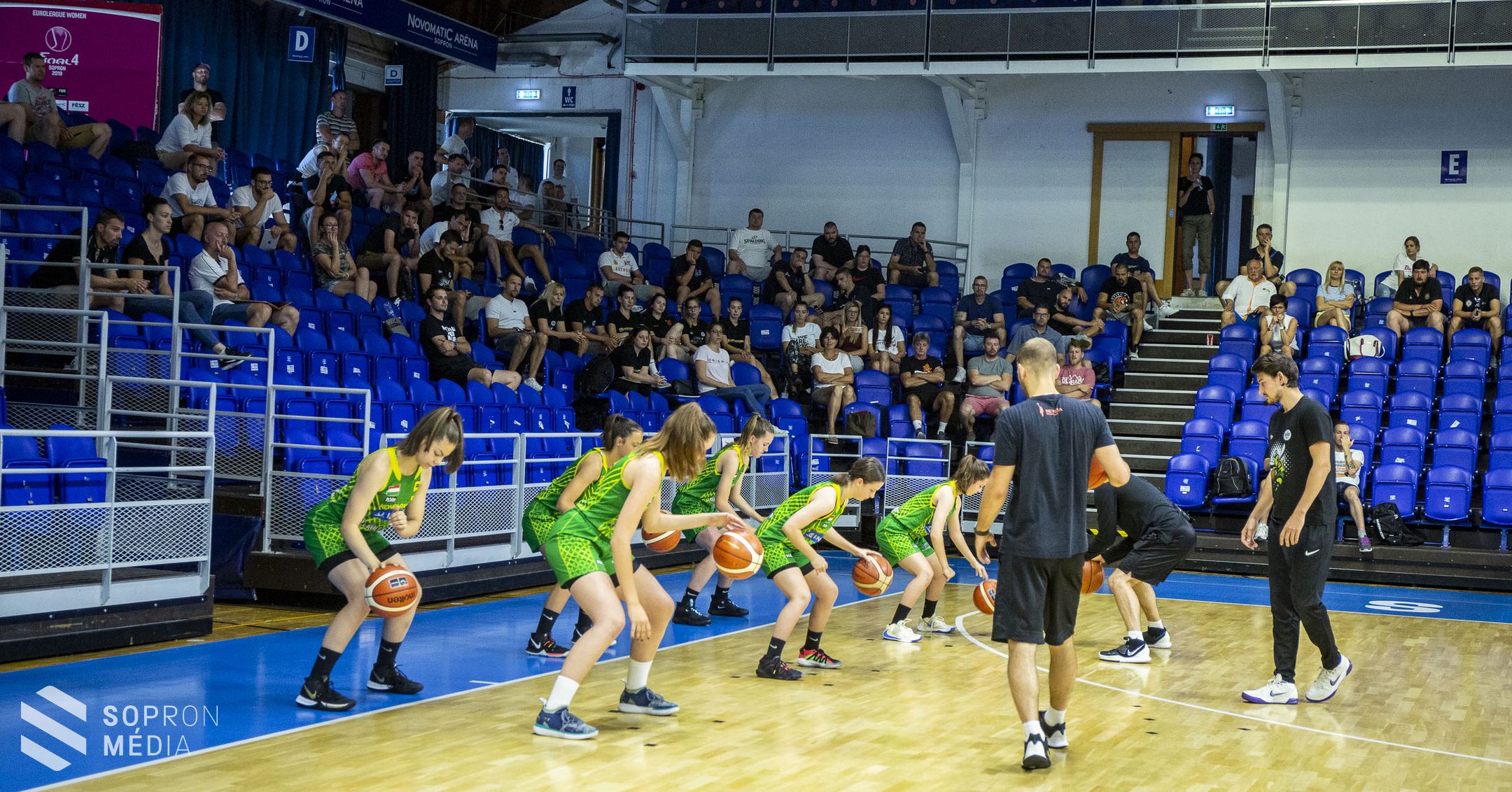 Továbbképzést szervezett az edzőknek a Soproni Darazsak Sportakadémia 
