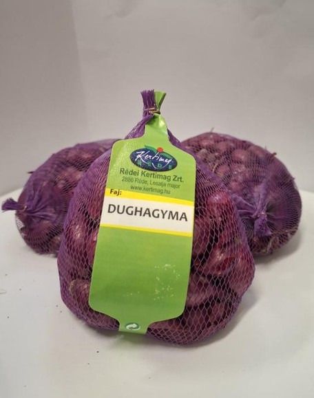 Dughagyma lila, őszi,  Akado F1 250 g termék képe