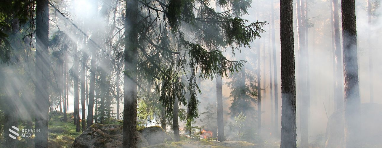 Az ország teljes területére kiterjesztik a tűzgyújtási tilalmat
