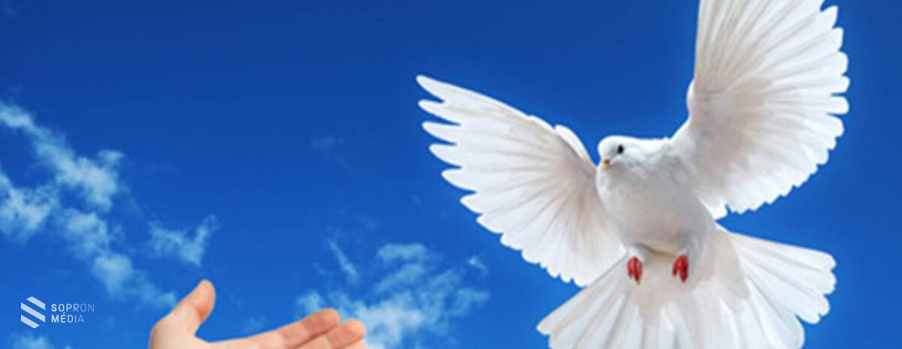 Minden évben egy üzenet: A béke „világnapja” legyen veletek!