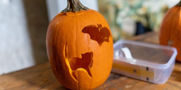 Mesés őszi délután a Kőfejtőben