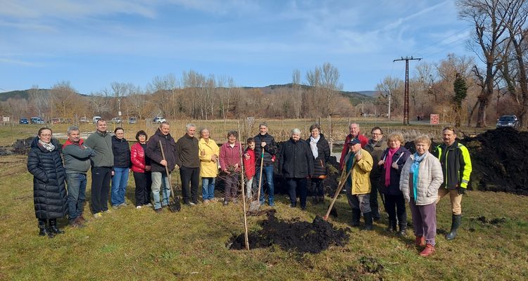 Nemzeti Faültetés Napja 2025. március 1. bejegyzés borítóképe