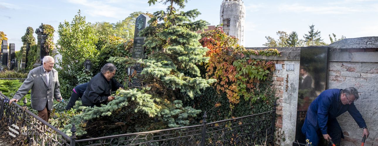 Önkéntesek gondoztak elhagyatott sírokat Sopronban 