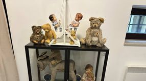 Mackóünnep a Soproni Múzeumban