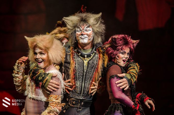 A Macskák a fertőrákosi barlangszínház műsorán – az előadást kétszer is bemutatták, a jegyeket már hetekkel korábban elkapkodták a nézők 