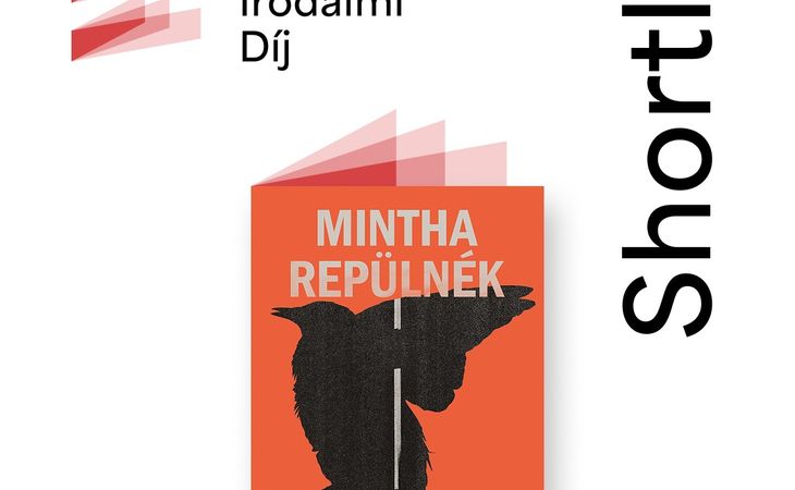 Szálinger Balázs: Mintha repülnék