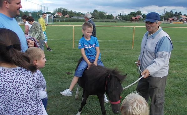 23. Falunap 2012. augusztus 11.