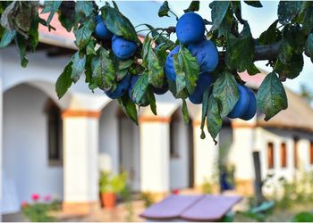 Dél-borsodi települések