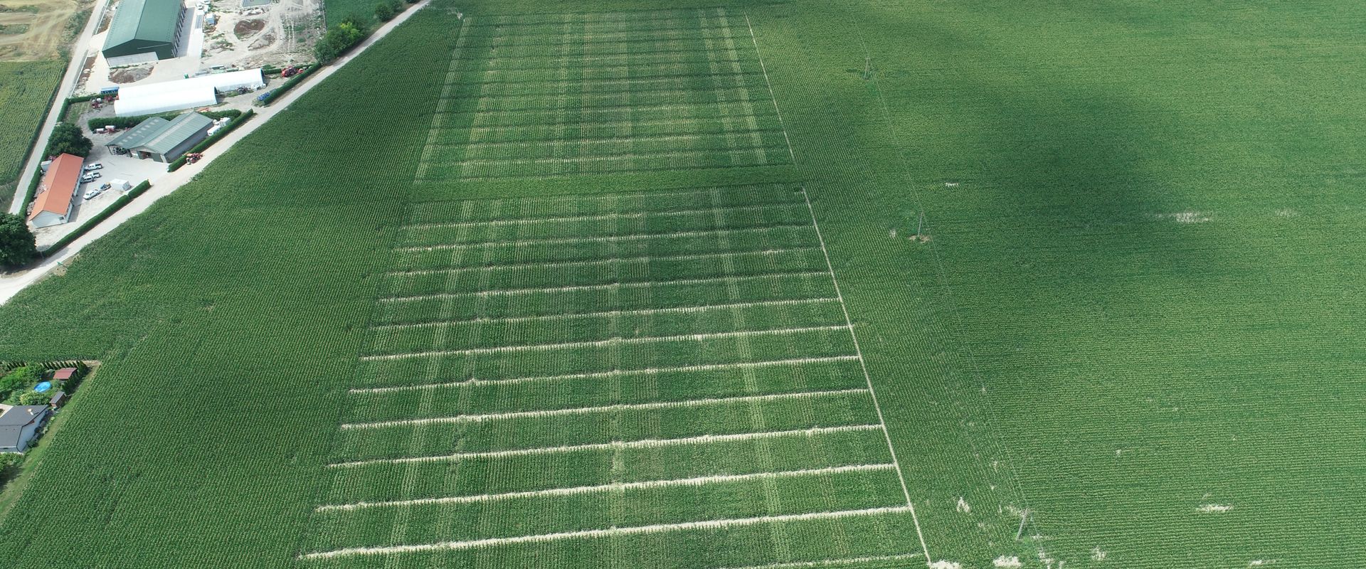 Agrofil-SZMI Kft.