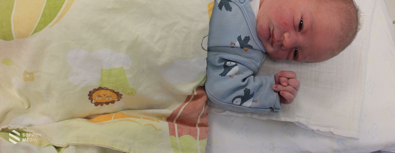 Levente Sopron első új évi babája