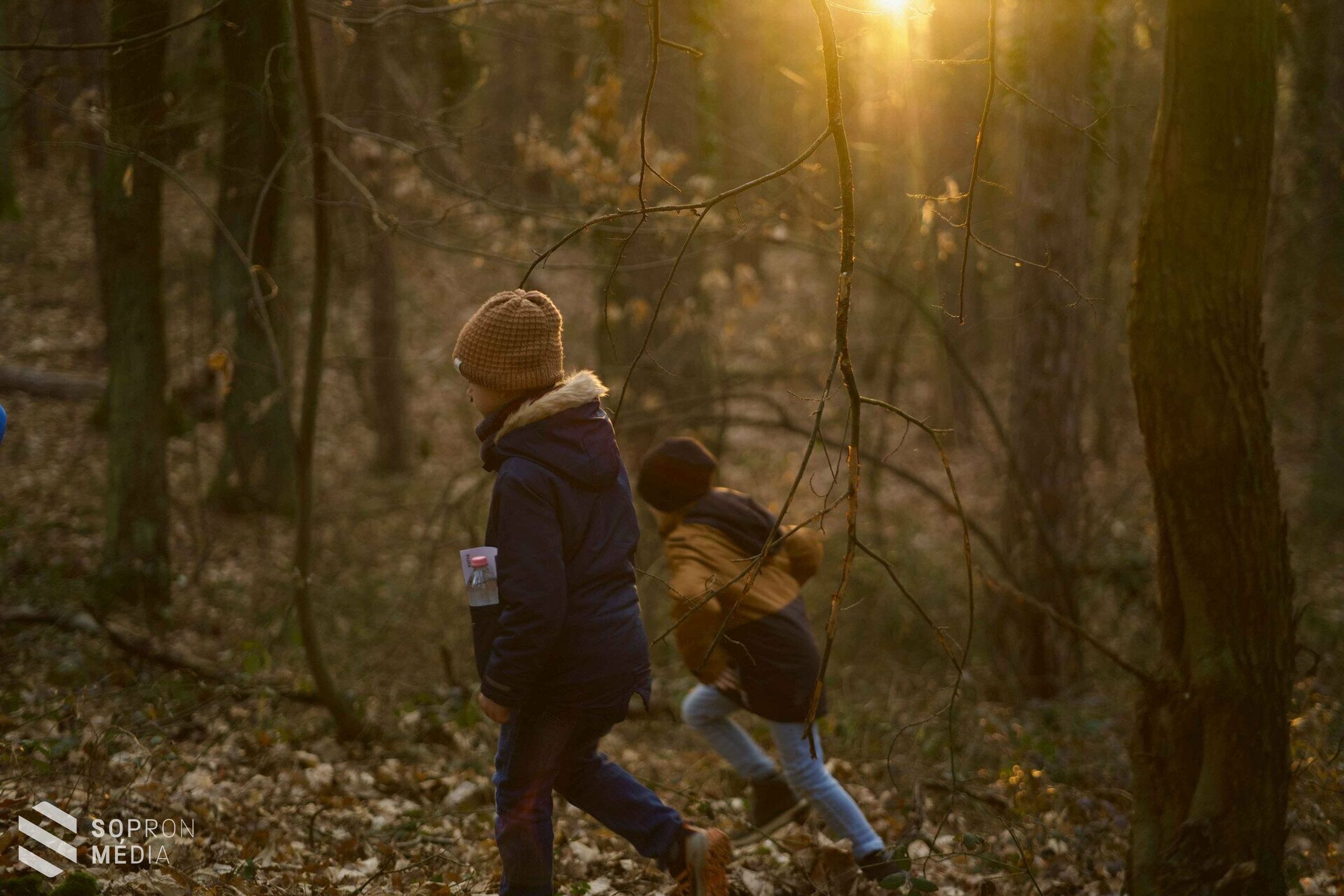 Állati nyomok után kutattak a hétvégén az Erdő Háza látogatói