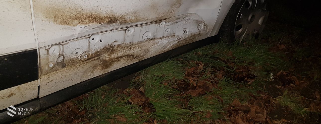 Vigyázat! Több vadbaleset is történt Sopron környékén az elmúlt időszakban!