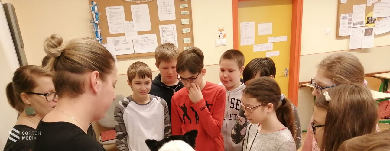 Rendhagyó biológia órát tartottak az állatvédők 