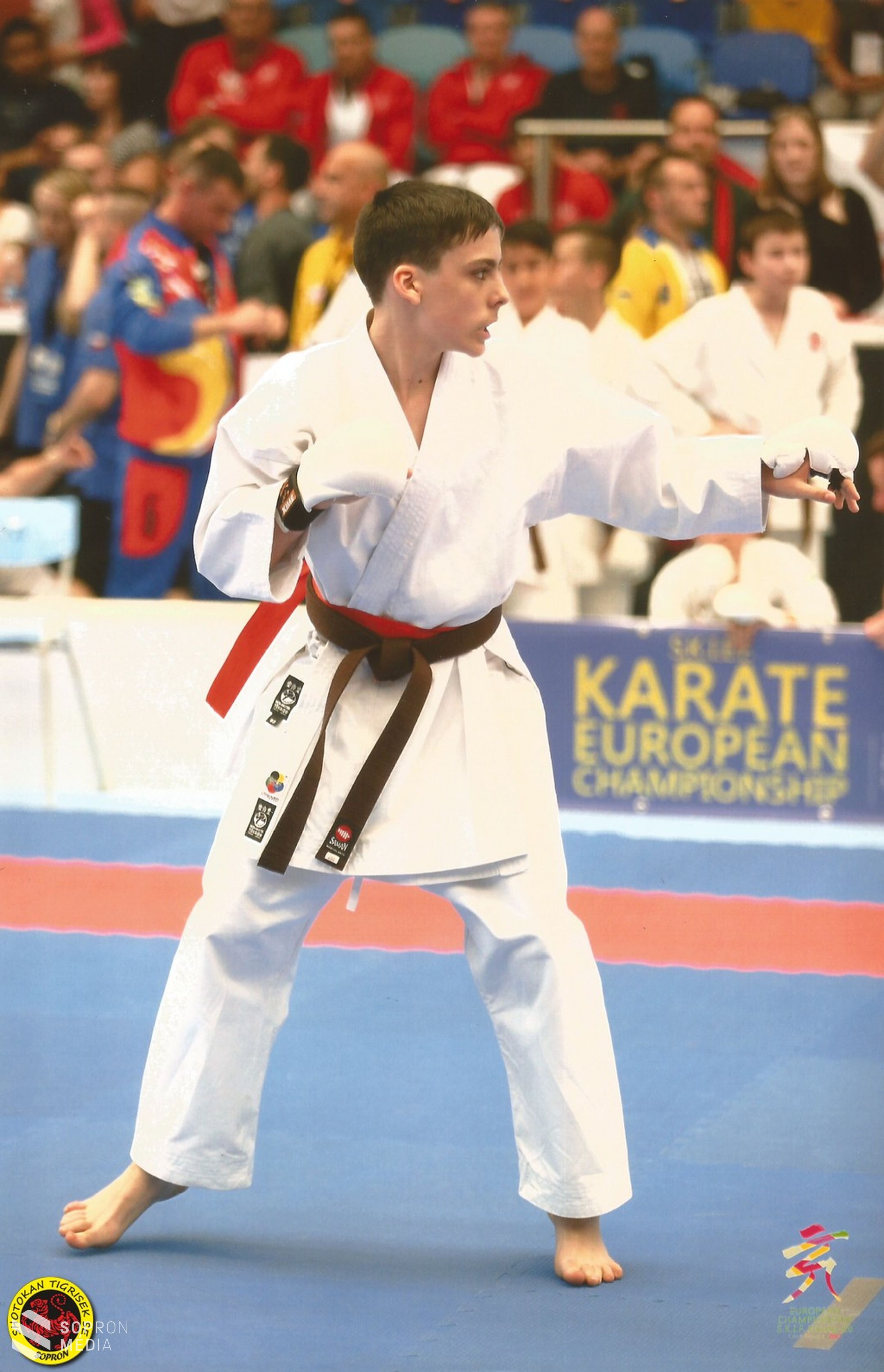 A Shotokan Tigrisek SE karatésai Csehországban is bizonyítottak