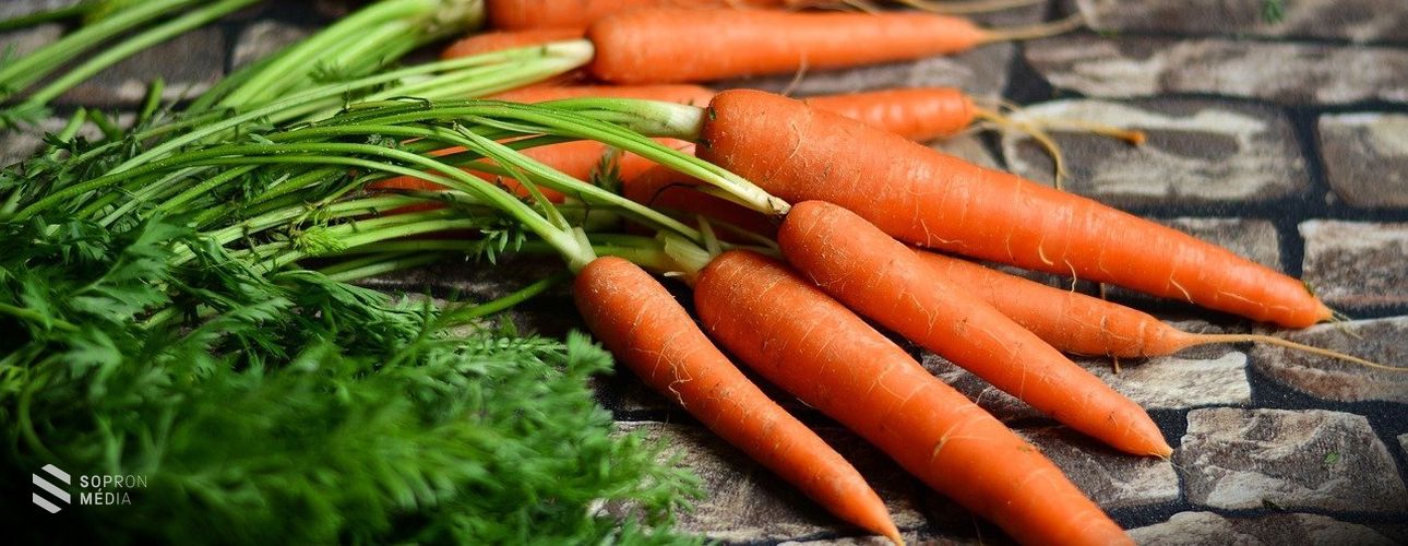 Uniós oltalmat kapott a Fertőd vidéki sárgarépa