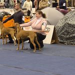 2026.10.02 - Tulln CAC