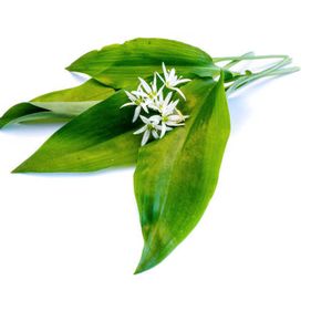 Miért fogyasszunk medvehagymát?