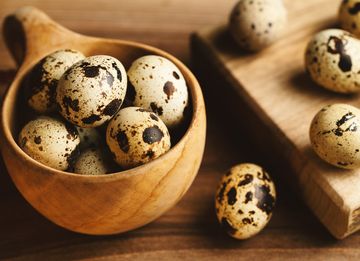 Bodza Klub - Fürjtenyésztés, fürjtojás, fürjtojásos termékek