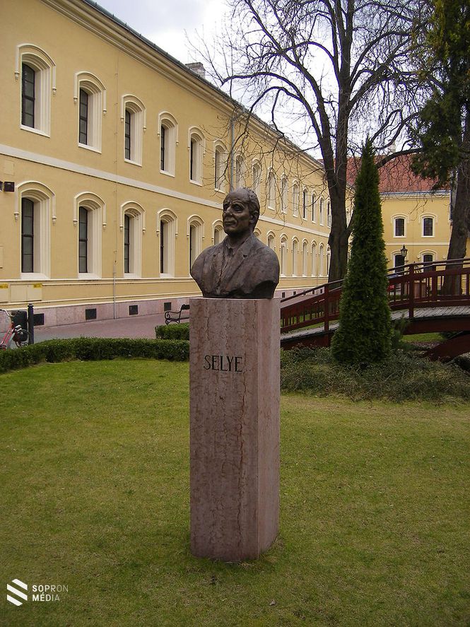 Mellszobra Komáromban, a róla elnevezett egyetemnek otthont adó Tiszti pavilon udvarán (Berek Lajos alkotása) 