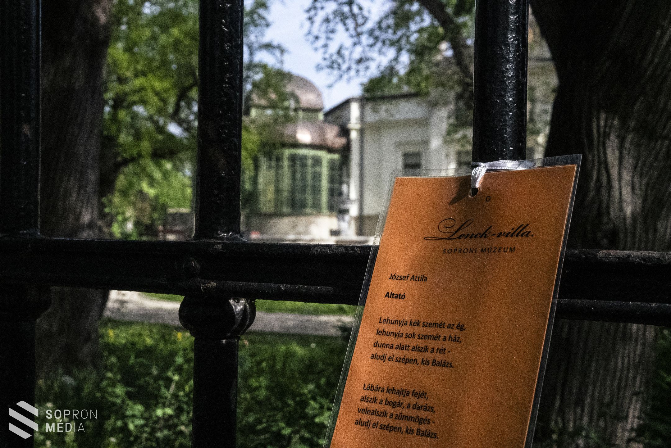 A magyar költészet napja