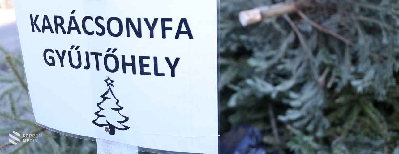 Ezeket a karácsonyfa gyűjtőhelyeket jelölte ki a Sopron Holding idén