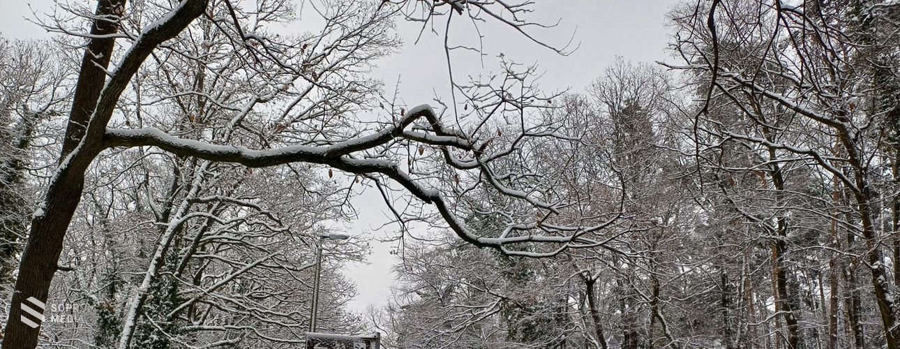 Fehér karácsony Sopronban