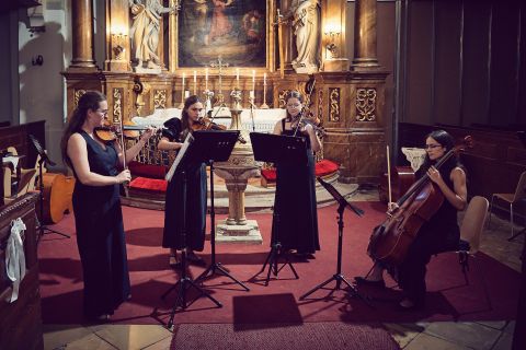 Pannon Youth Orchestra Sopronban