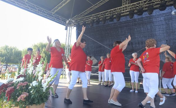 33. Kónyi Falunap, 2023. augusztus 12.